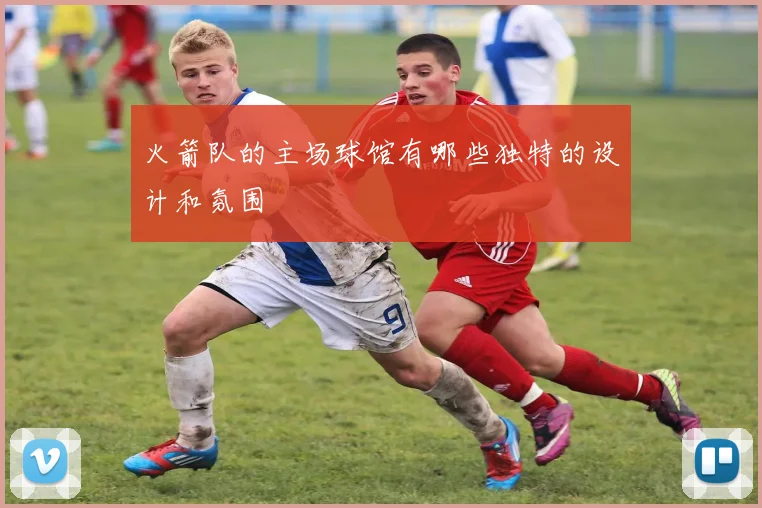 火箭队的主场球馆有哪些独特的设计和氛围