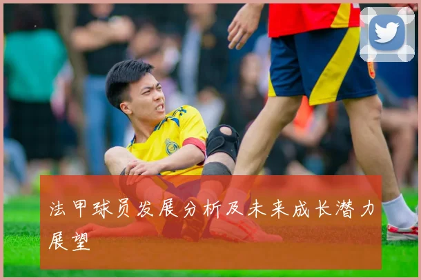 法甲球员发展分析及未来成长潜力展望