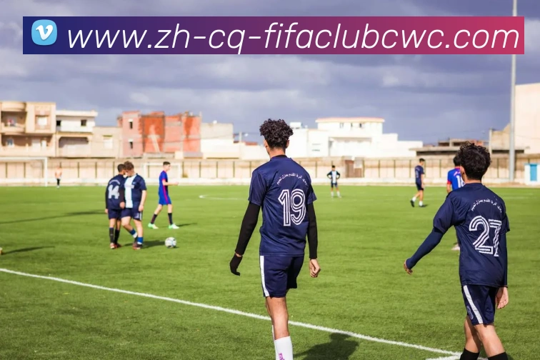 世界杯平台平台生态图