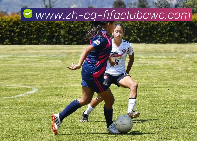 世界杯平台APP 封面图