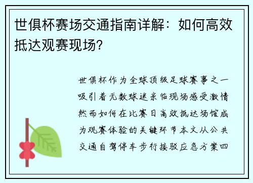 世俱杯赛场交通指南详解：如何高效抵达观赛现场？